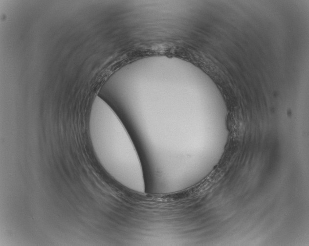 X0000067530656200604071050