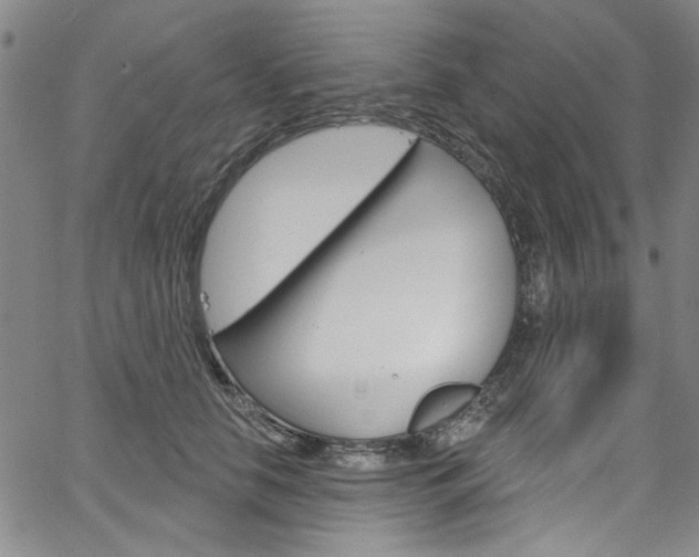 X0000067530658200604071050