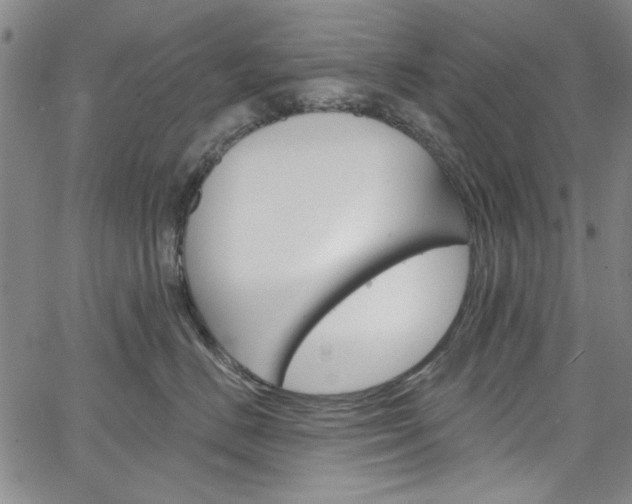 X0000067530670200604071051