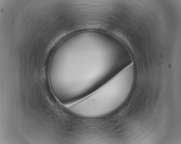 X0000067530676200604071050