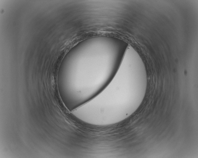 X0000067530704200604071049