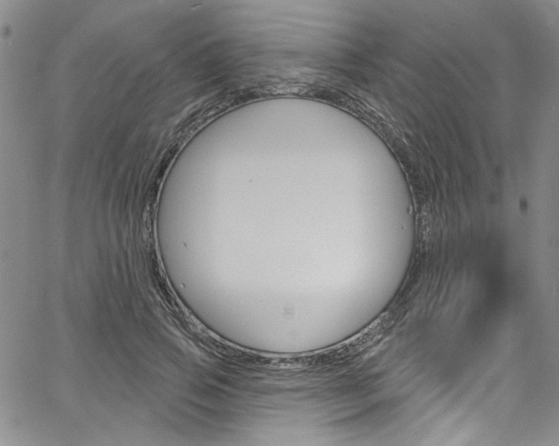 X0000067530741200604071049