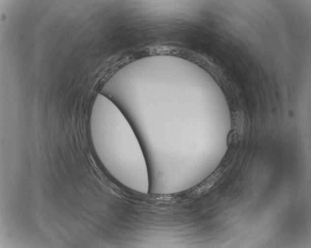 X0000067530761200604071049