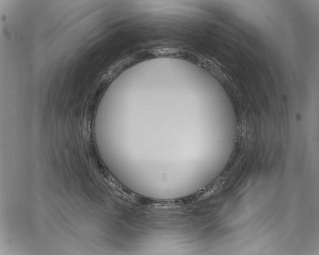 X0000067530763200604071049
