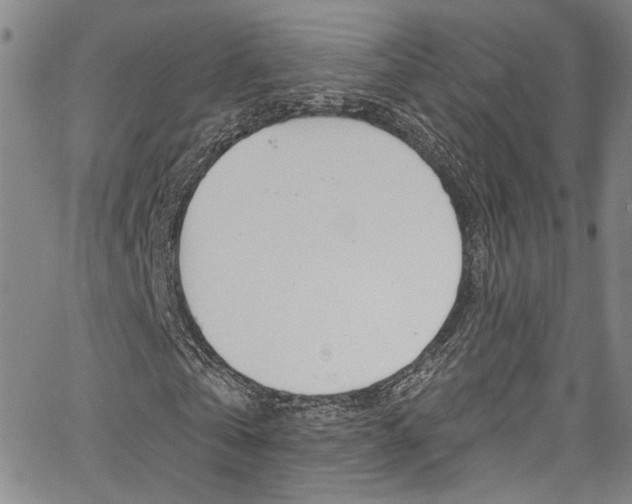 X0000067530769200604071048