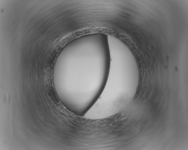 X0000067530773200604071048