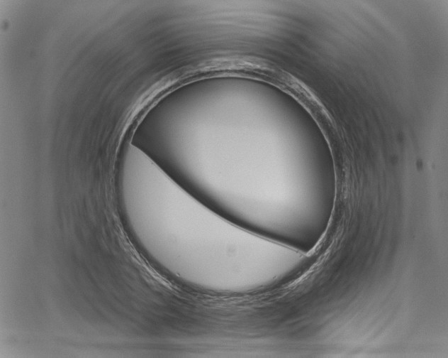 X0000067530786200604071048