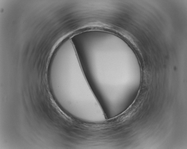 X0000067530791200604071048