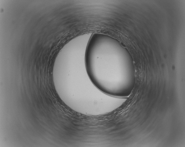 X0000067530818200604071047
