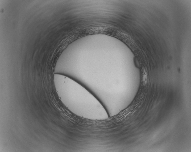 X0000067530819200604071047