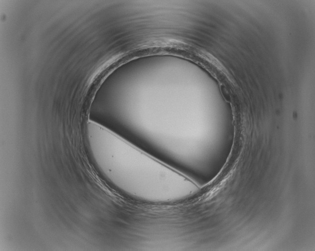 X0000067530826200604071047