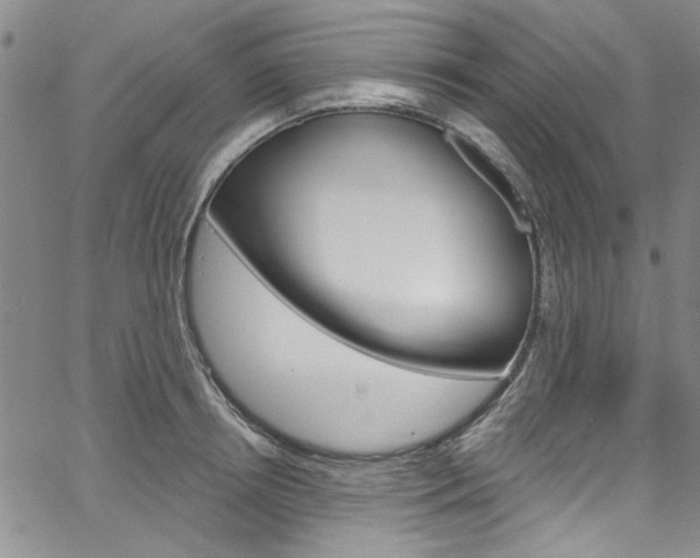 X0000067530850200604071047