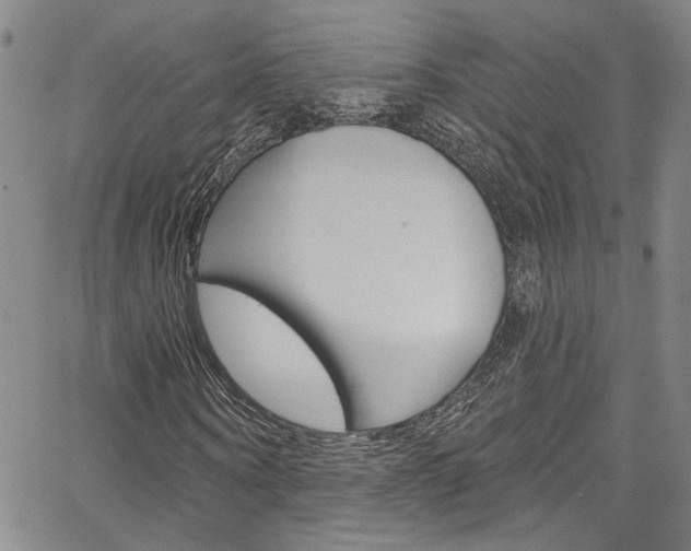 X0000067530866200604071047
