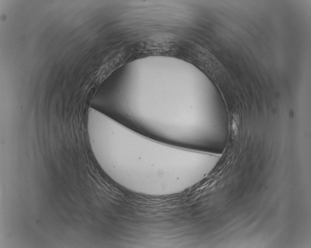 X0000067530867200604071047