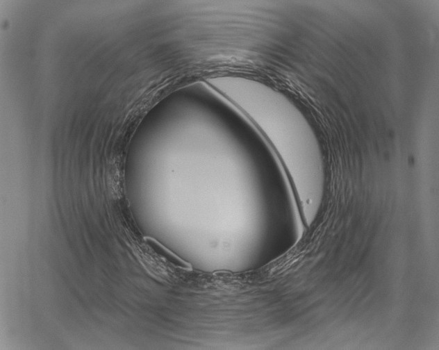 X0000067530868200604071047