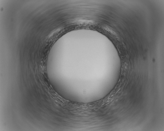 X0000067530869200604071047