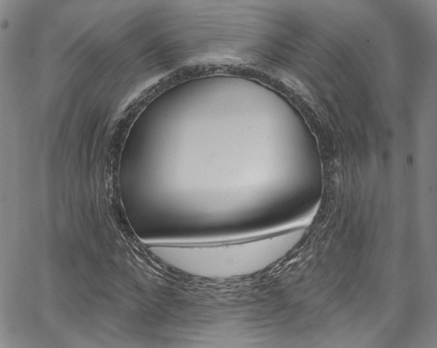 X0000067530872200604071047