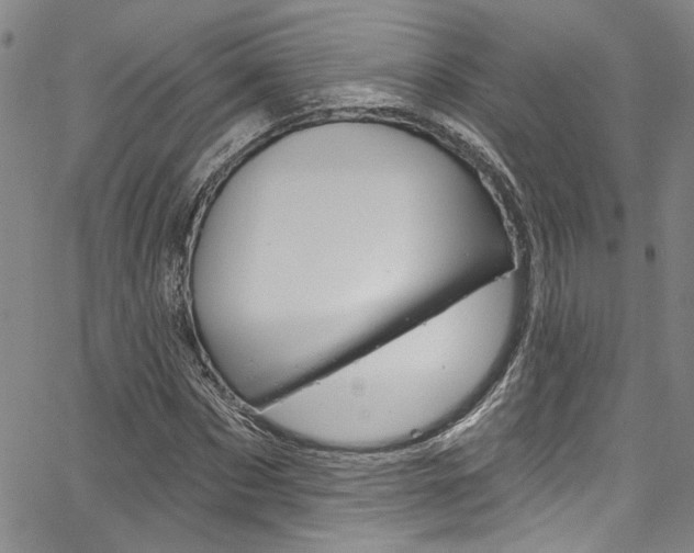 X0000067530873200604071047