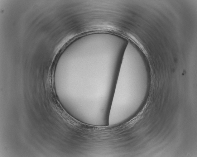 X0000067530883200604071046