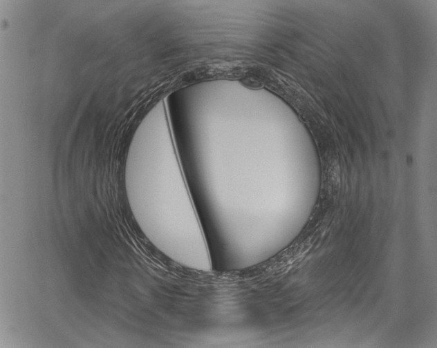 X0000067530914200604071045
