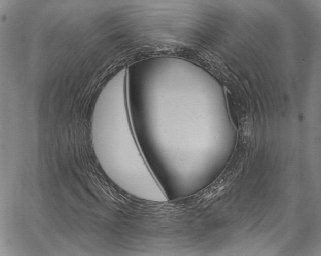 X0000067530916200604071045