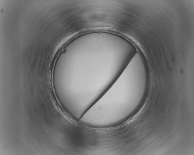 X0000067530933200604071045