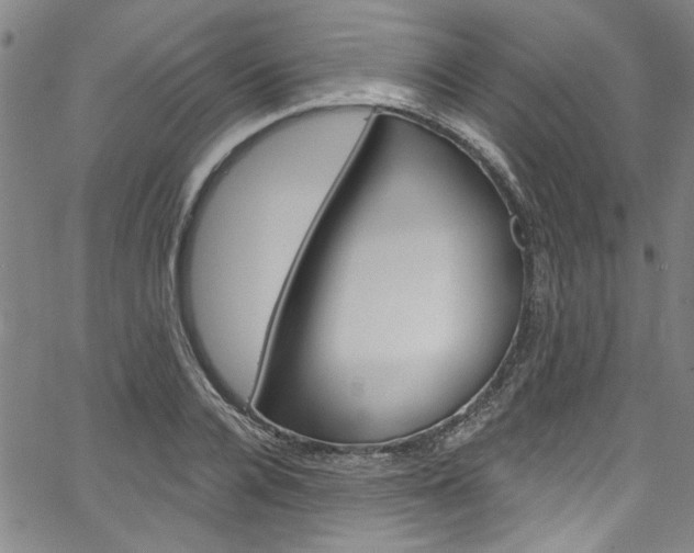 X0000067530936200604071045