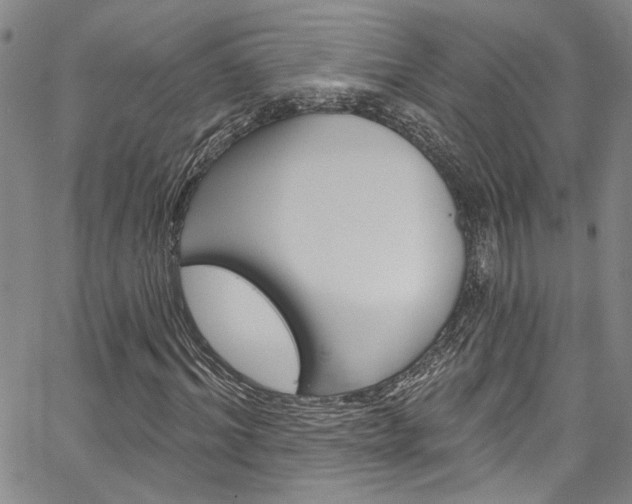 X0000067530964200604071045