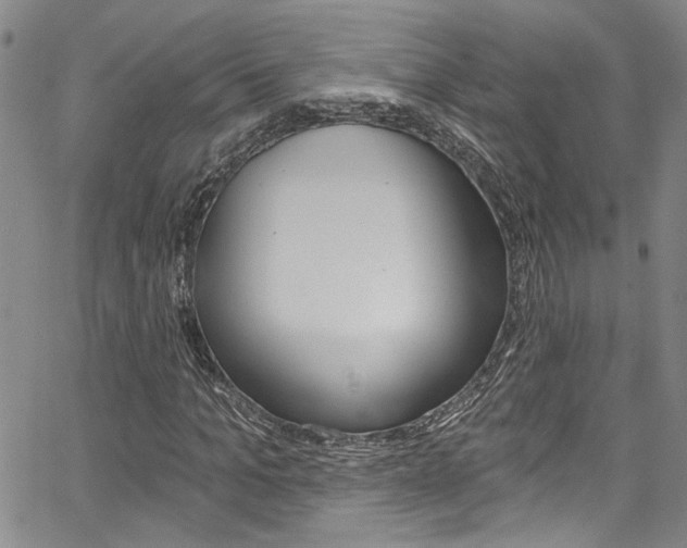 X0000067530965200604071045