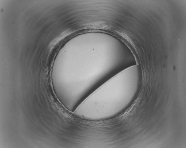 X0000067530971200604071045