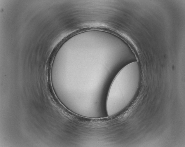 X0000067530983200604071045