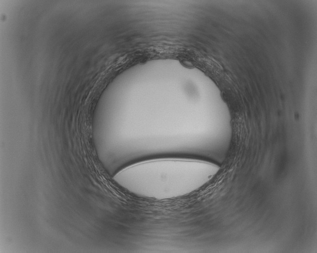 X0000067531009200604071044