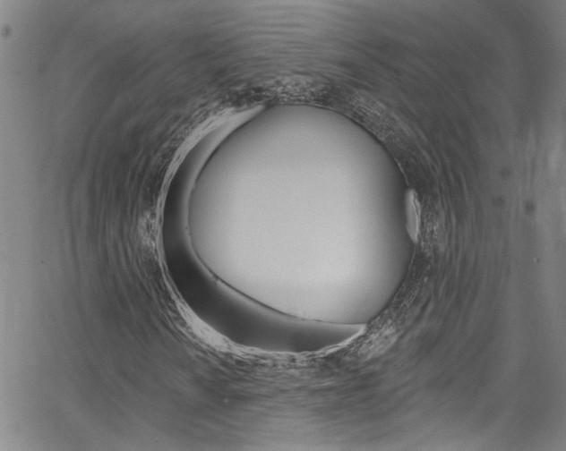 X0000067531010200604071044