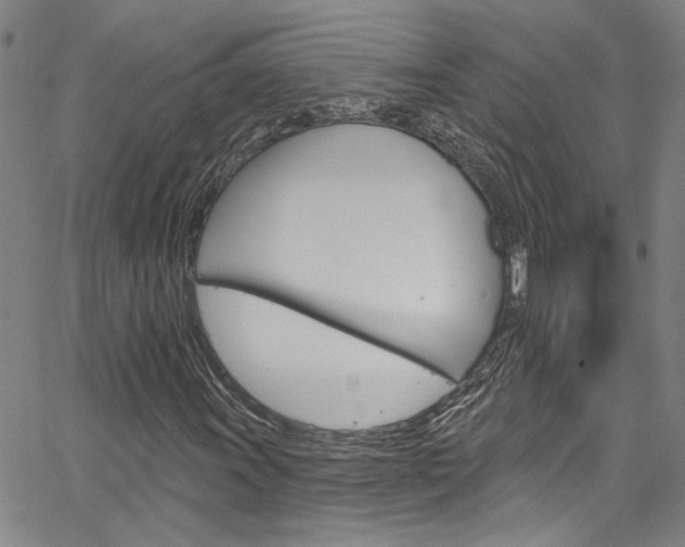 X0000067531011200604071044