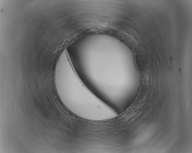 X0000067531012200604071044