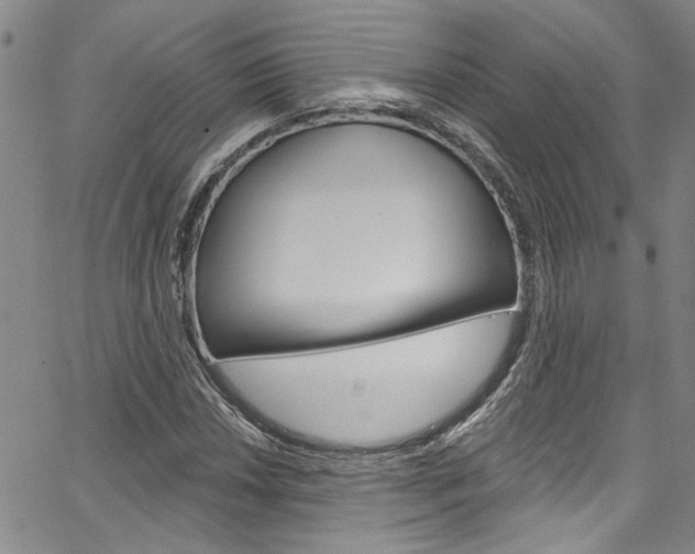 X0000067531018200604071044