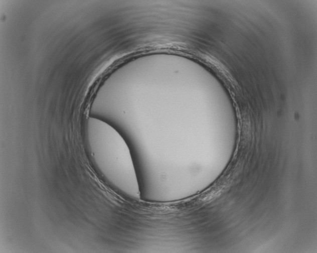 X0000067531023200604071044