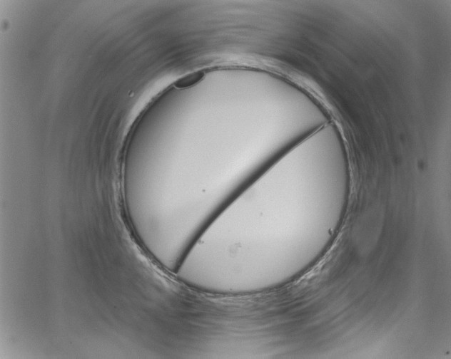 X0000067531048200604071044