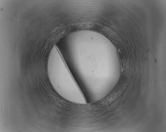 X0000067531058200604071044
