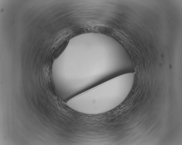 X0000067531060200604071043