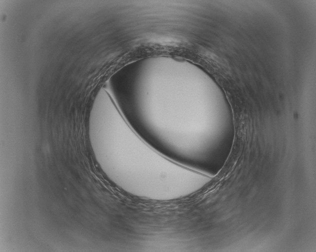 X0000067531061200604071043