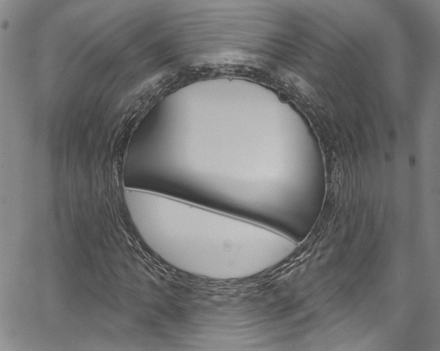 X0000067531062200604071043
