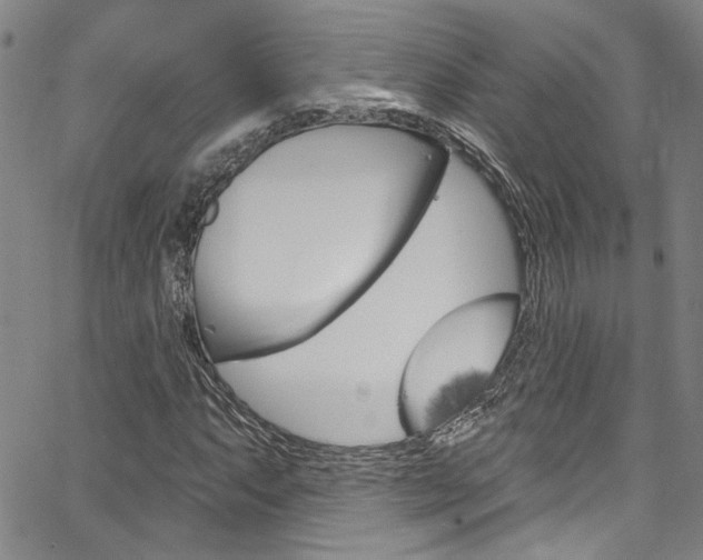 X0000067531063200604071043
