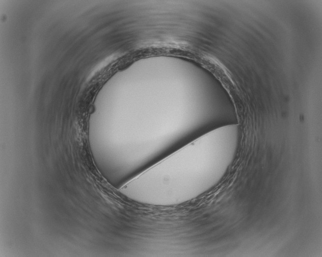 X0000067531064200604071043