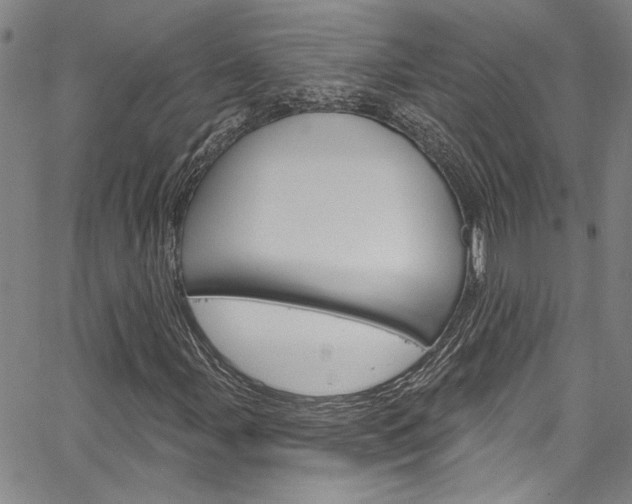 X0000067531107200604071042