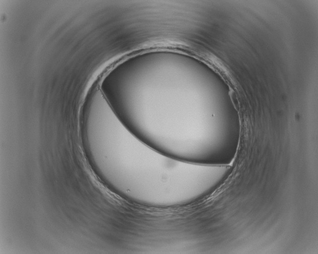 X0000067531124200604071042