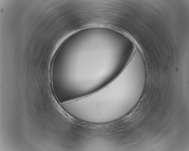X0000067531148200604071043