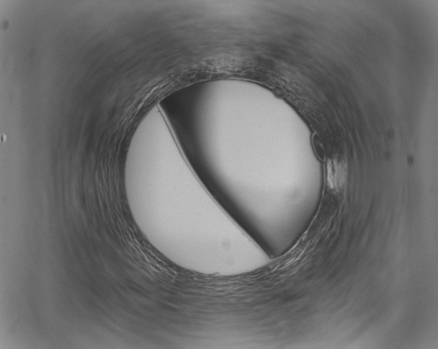X0000067531155200604071042