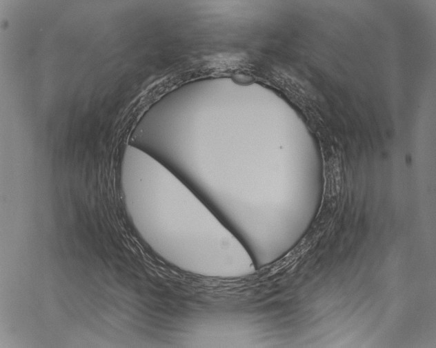 X0000067531158200604071042