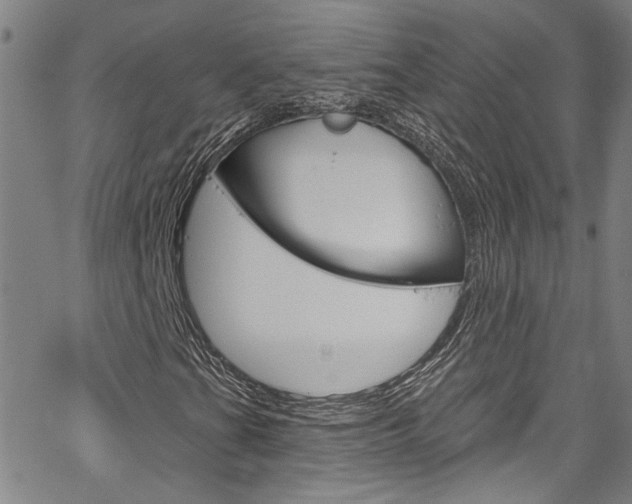 X0000067531201200604071040